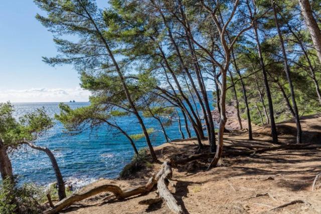 Appartement climatisé avec jardin et plage à 250m Saint-Mandrier-sur-Mer Exterior foto