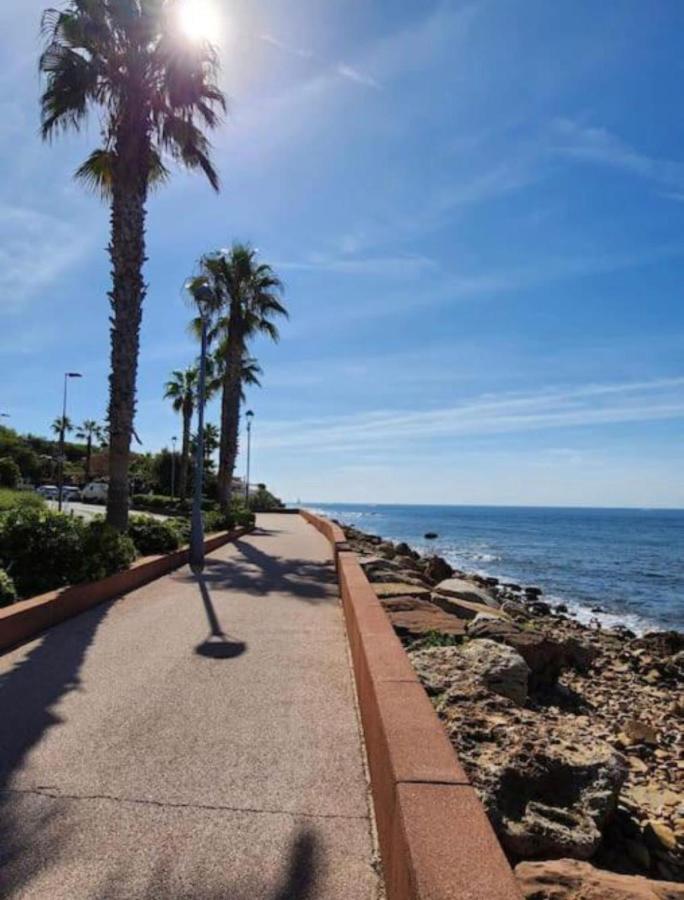 Appartement climatisé avec jardin et plage à 250m Saint-Mandrier-sur-Mer Exterior foto
